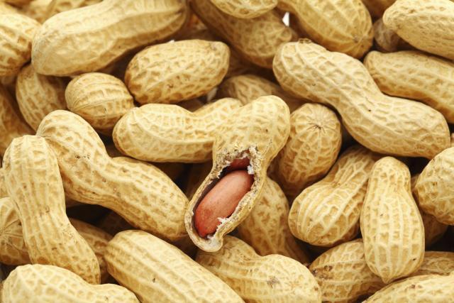 Veliki uspeh: Nauènici uspeli da izleèe alergiju na kikiriki